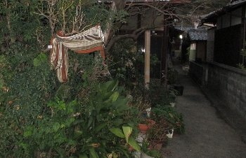 f0003283_18413104.jpg