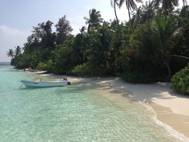 f0204584_6275366.jpg