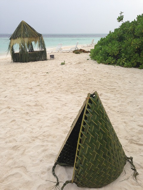 f0204584_6302368.jpg