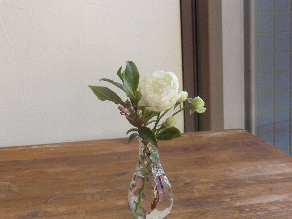 e0140986_11352188.jpg