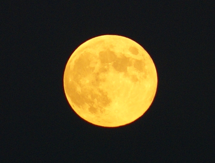 d0166389_20544265.jpg