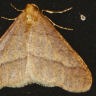 b0194593_7232429.jpg