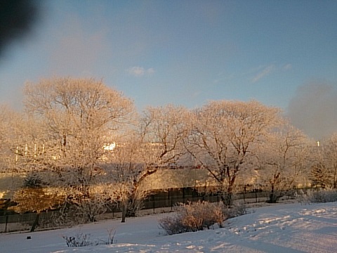 f0029393_5203412.jpg