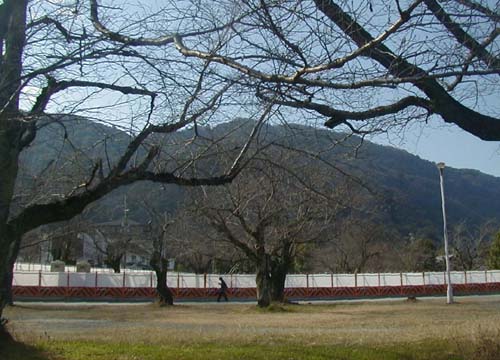 d0053294_23331364.jpg