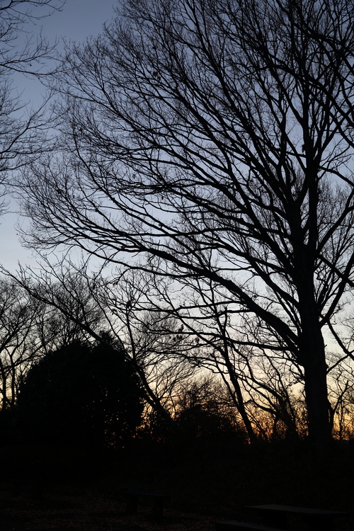 b0275998_17342893.jpg