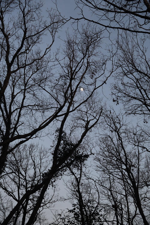 b0275998_17393665.jpg
