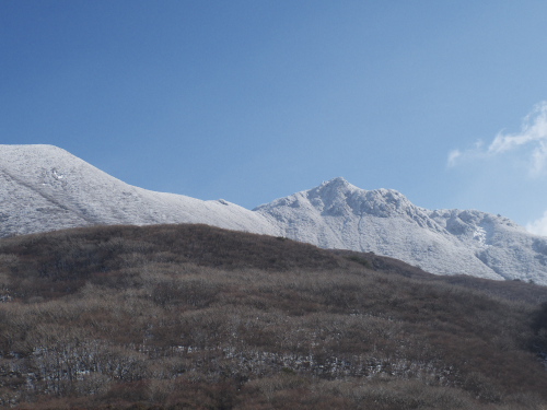 e0152806_19492260.jpg