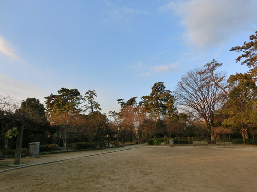 e0179321_1556490.jpg