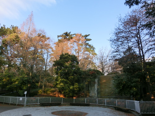 e0179321_15565116.jpg