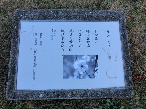 e0179321_15571571.jpg