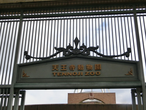 e0179321_1932474.jpg