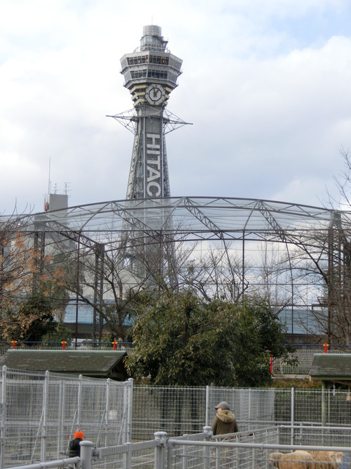 e0179321_19491485.jpg