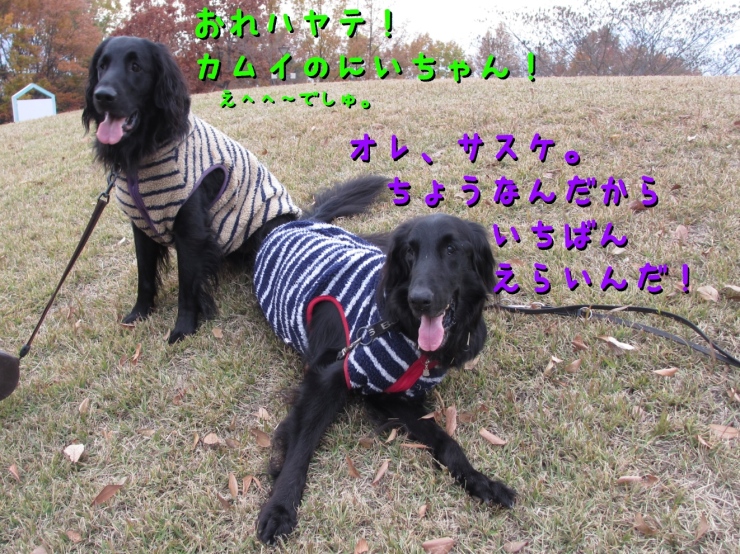 c0237824_10030755.jpg