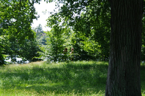 d0023725_0127100.jpg