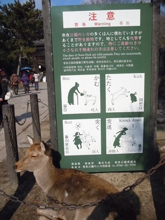 c0263829_22283783.jpg