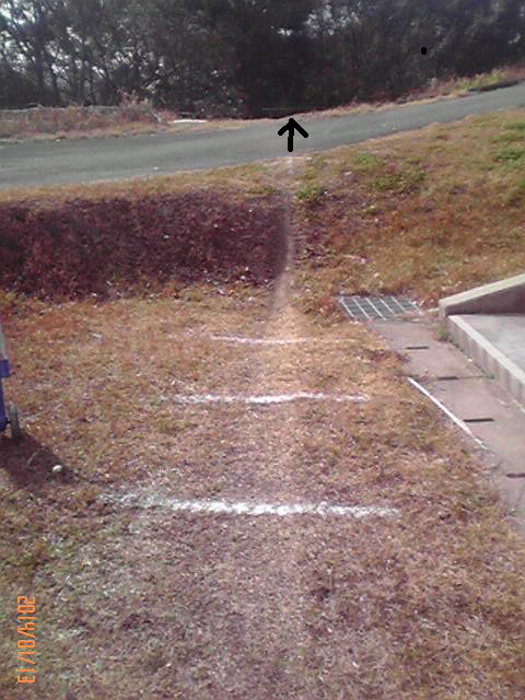 b0222530_2063546.jpg