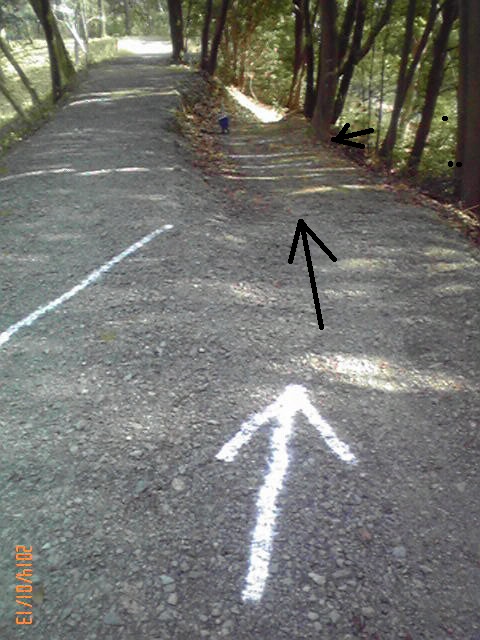 b0222530_208323.jpg