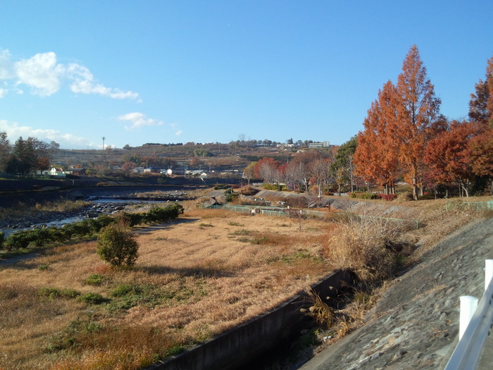 e0227139_12542250.jpg