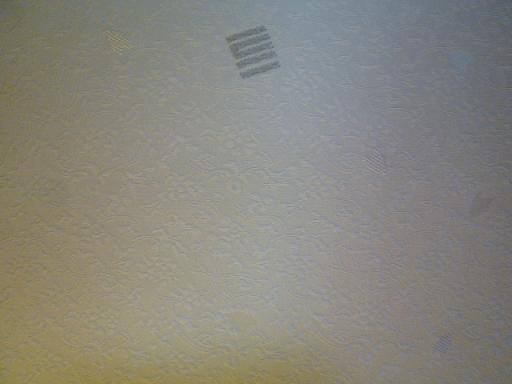 f0181251_1058999.jpg