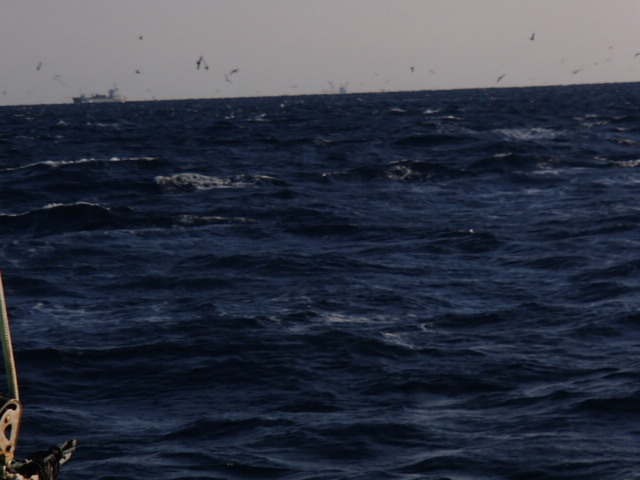a0248152_18293962.jpg