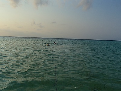 a0104162_12394912.jpg