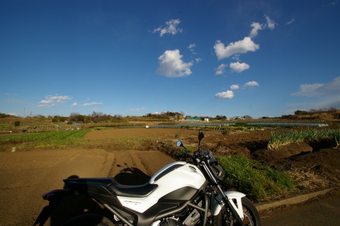 e0045768_2293846.jpg