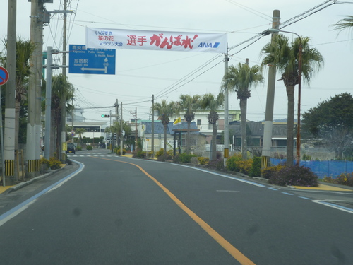 a0158075_9515667.jpg