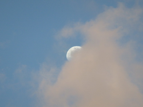 a0002177_1818438.jpg