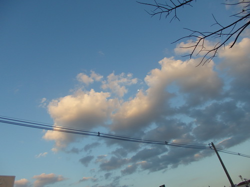 a0002177_18192239.jpg