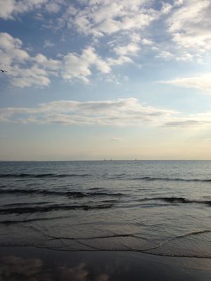 a0228480_15315744.jpg