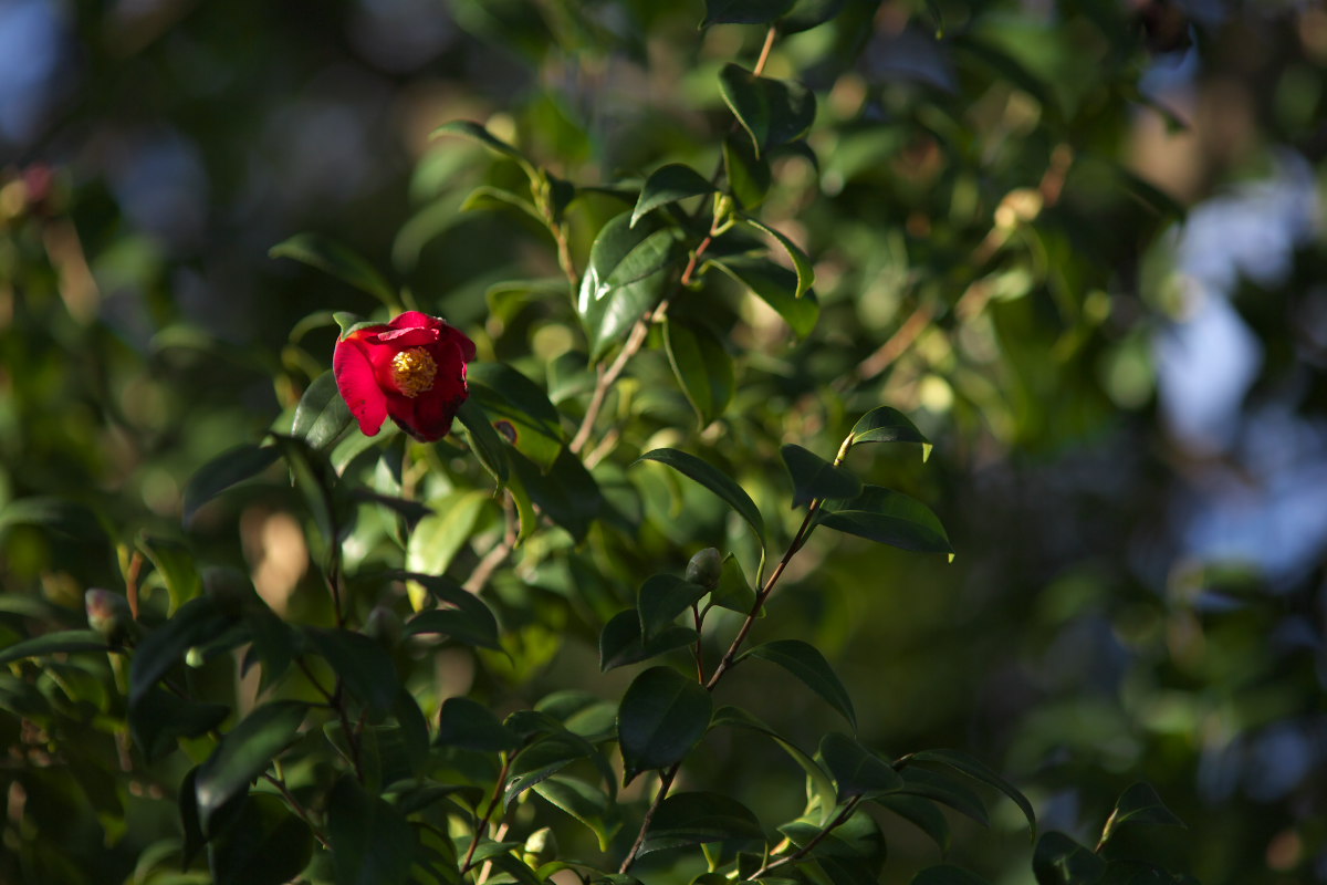 a0083081_2251317.jpg