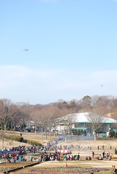 f0079484_054551.jpg