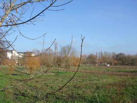 a0247585_42312.jpg
