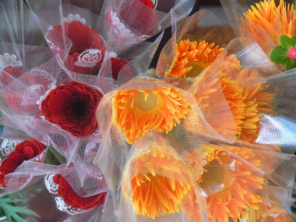 e0140986_13552912.jpg