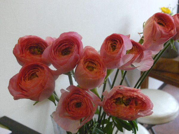 e0140986_1401796.jpg