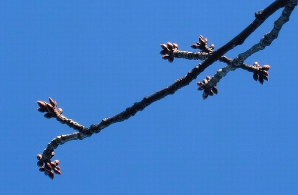 e0143690_893891.jpg