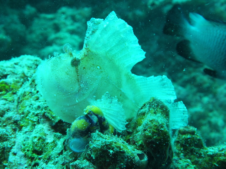 d0034291_710177.jpg