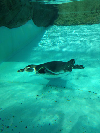 f0130693_174546.jpg