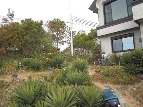 f0013998_10413829.jpg