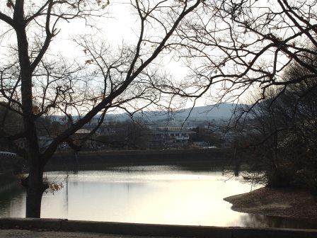 b0128101_2025781.jpg