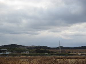 d0240201_1694029.jpg