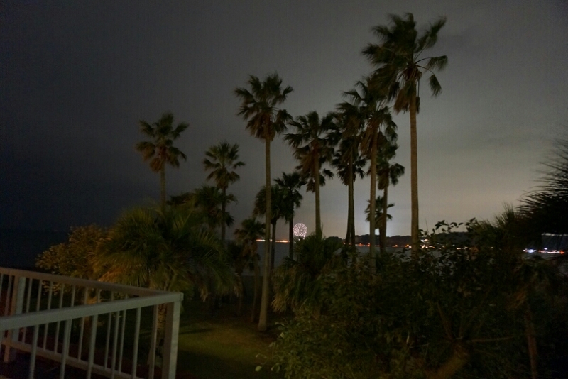 c0110906_1951645.jpg