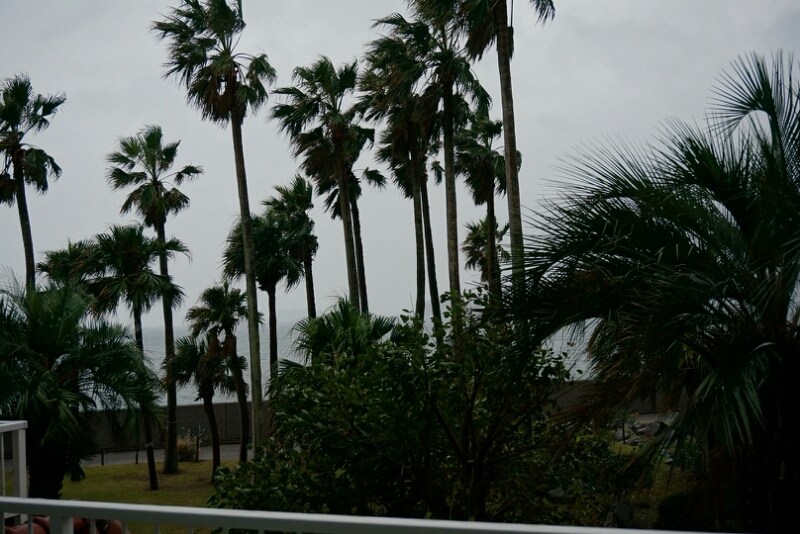 c0110906_2210592.jpg