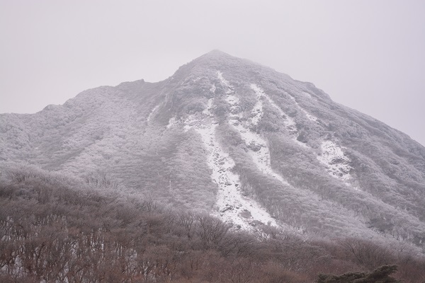b0277008_13324998.jpg