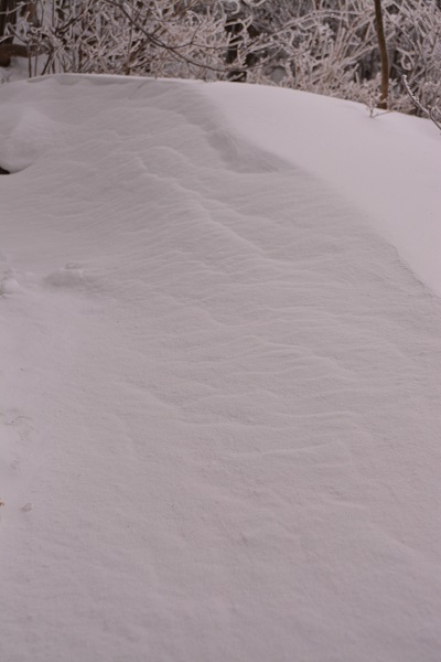 b0277008_13373321.jpg