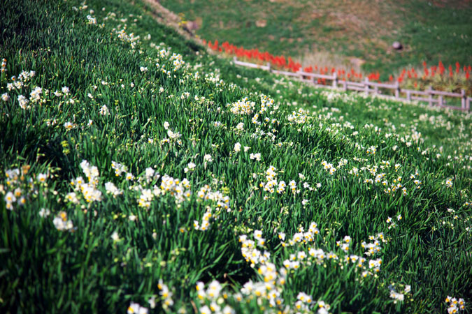 a0263109_1501416.jpg
