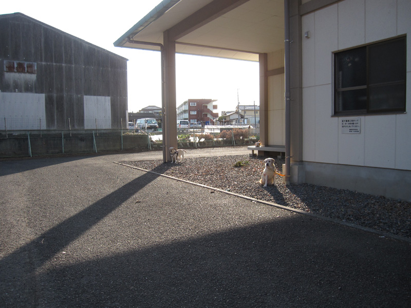 e0244621_16264553.jpg