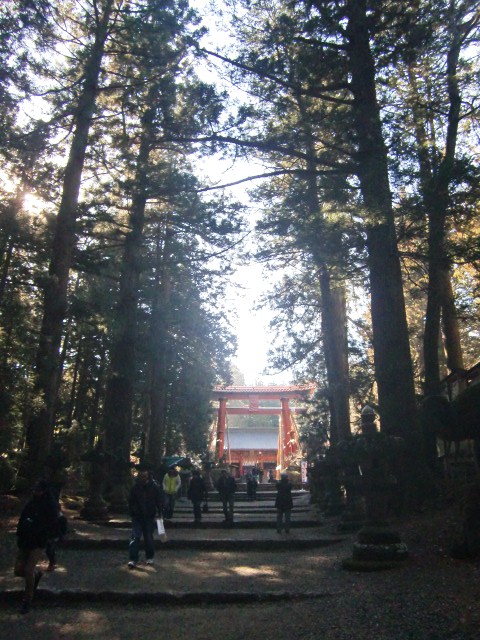 c0220724_21482593.jpg