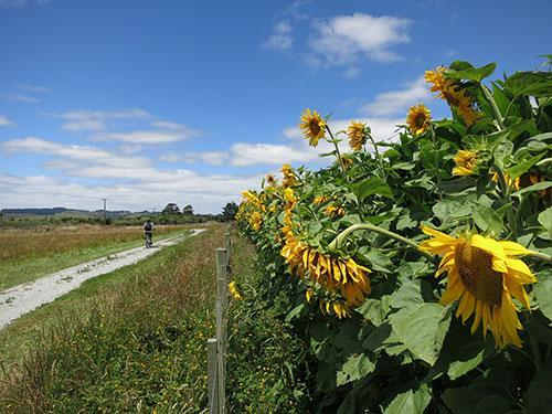d0023725_18182213.jpg