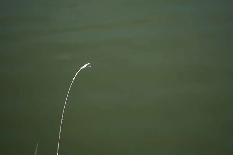 c0211429_21250035.jpg
